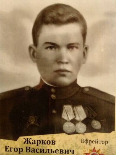 Жарков Егор Васильевич