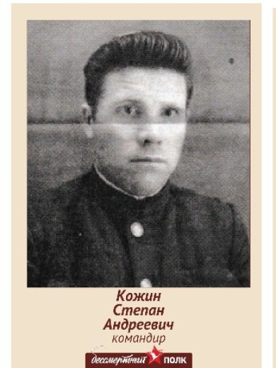 Кожин Степан Андреевич