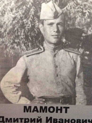 Мамонт Дмитрий Иванович