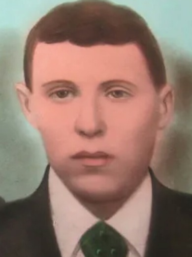 Гельцер Дмитрий Шиевич