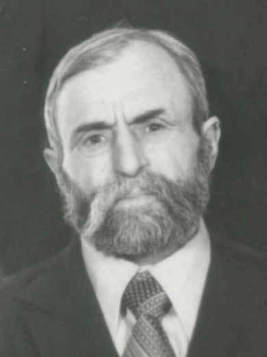 Долгушин Василий Михайлович