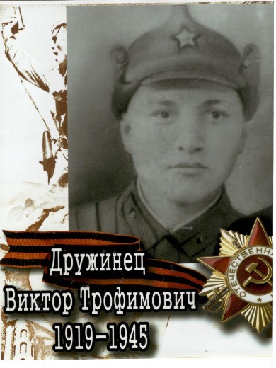 Дружинец Виктор Трофимович