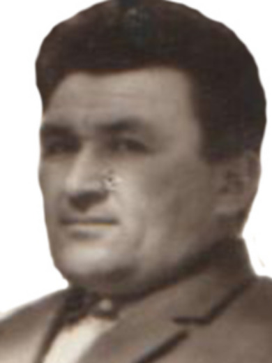 Домышев Василий Васильевич