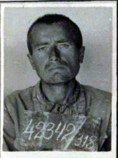 Добровольский Марк Калистратович