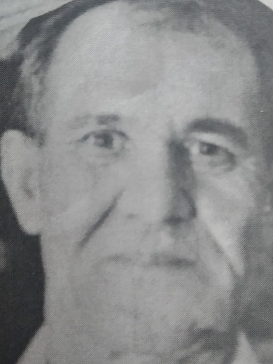 Нуриев Гавис Нуриевич