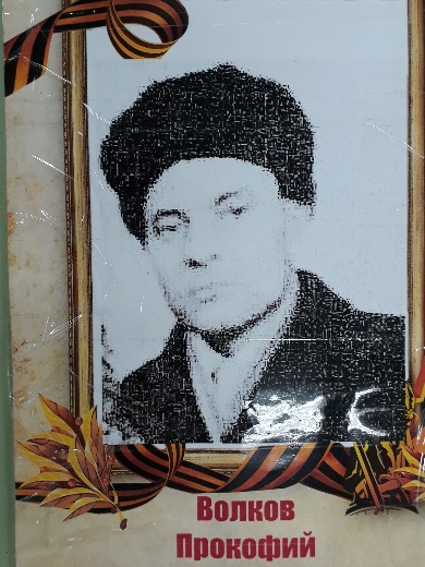 Волков Прокофий Григорьевич