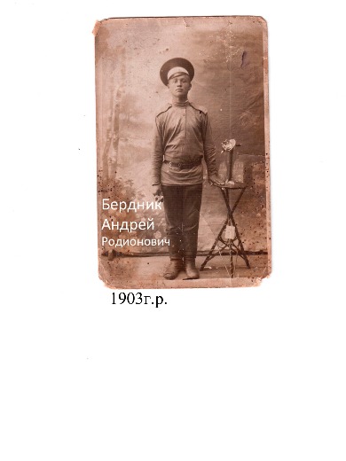 Бердник Андрей Родионович