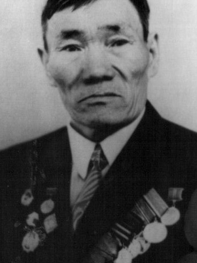 Николаев Василий Степанович