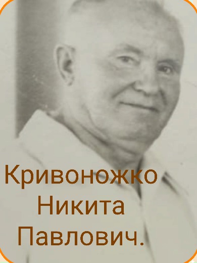 Кривоножко Никита Павлович