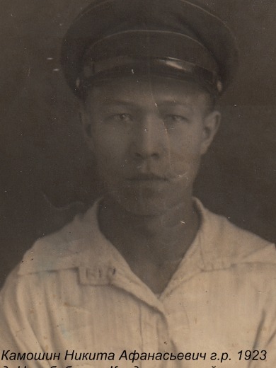 Камошин Никита Афанасьевич