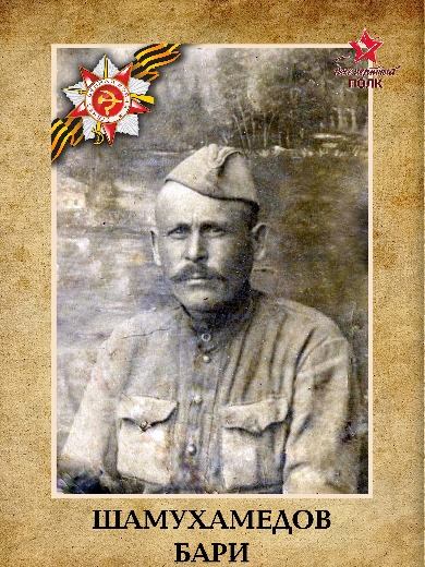 Шамухамедов Бари