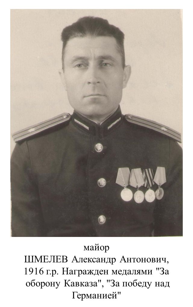 Шмелев Александр Анатольевич