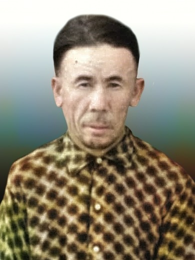 Гайнуллин Лутфулла Гамирович