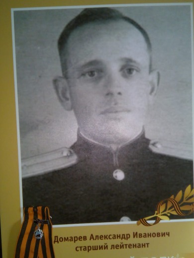 Домарев Александр Иванович