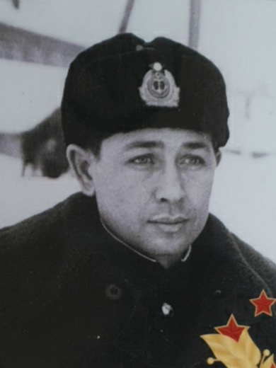 Николаев Владимир Михайлович