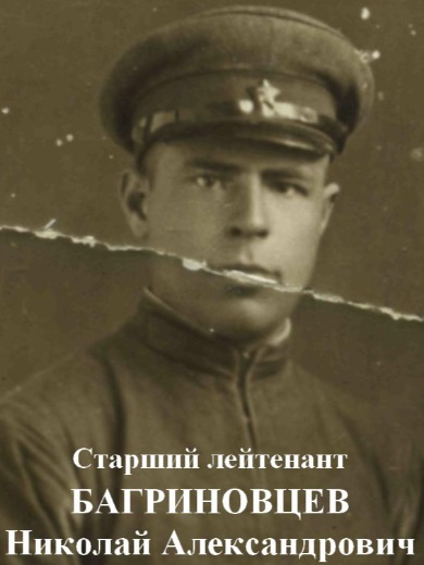 Багриновцев Николай Александрович