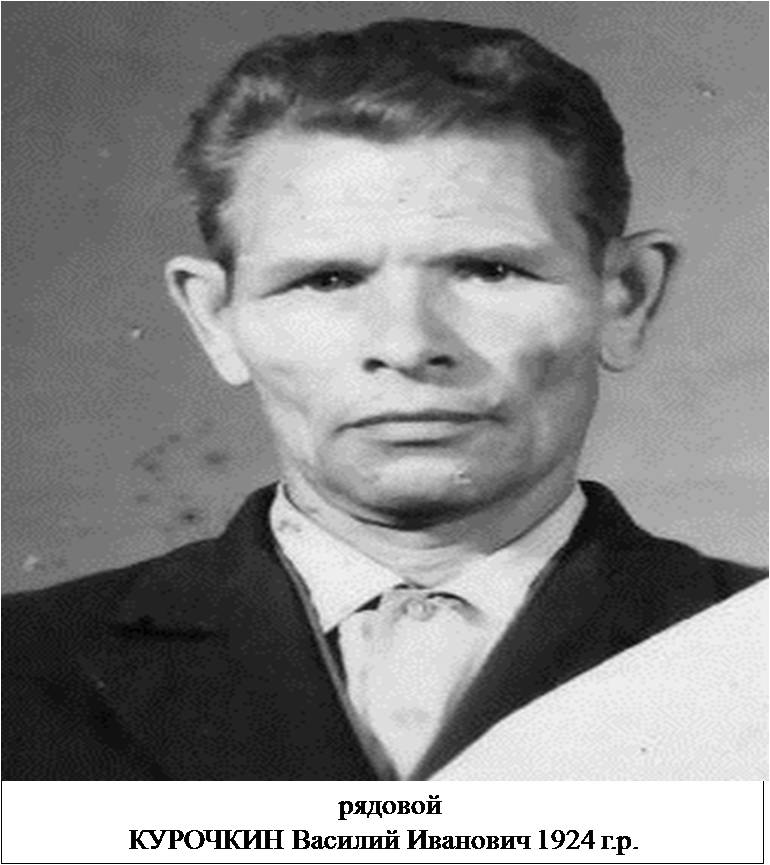 Курочкин Василий Иванович