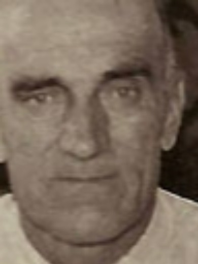Вежлив Дмитрий Васильевич