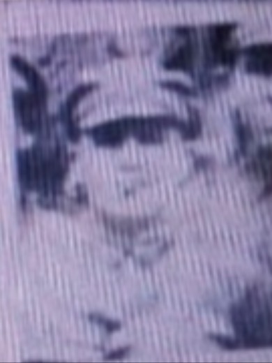 Аплаев Янгелде Аплаевич