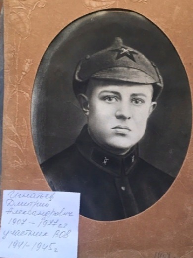 Игнатьев Дмитрий Александрович