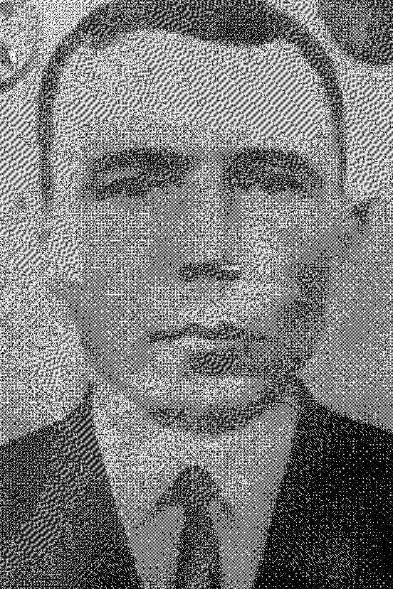 Майков Николай Пантелеймонович