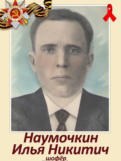 Наумочкин Илья Никитович
