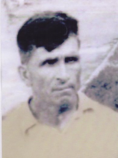 Петшик Степан Адамович