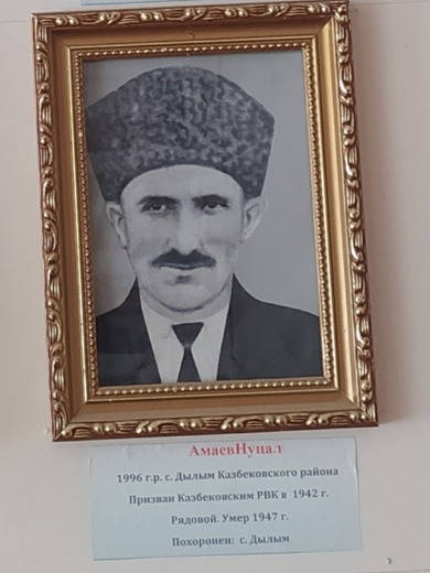 Амаев Нуцал