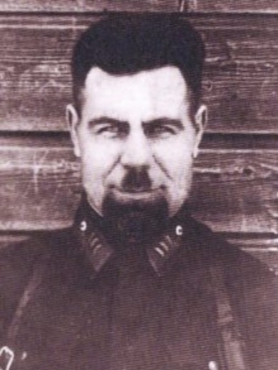 Костицын Александр Степанович