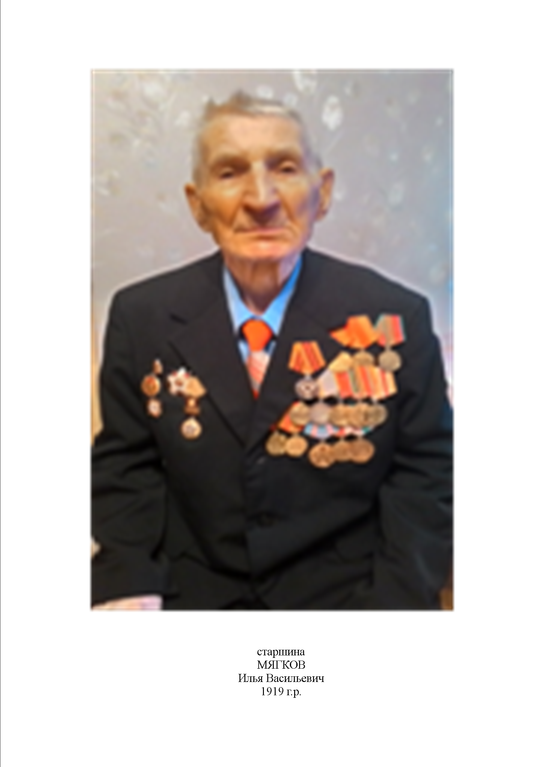 Мягков Илья Васильевич
