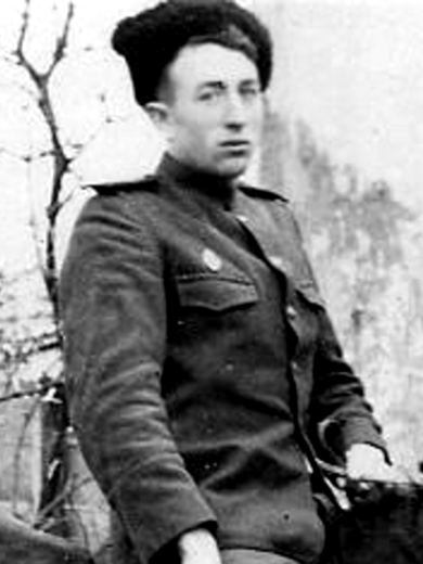 Мамаев Владимир Павлович