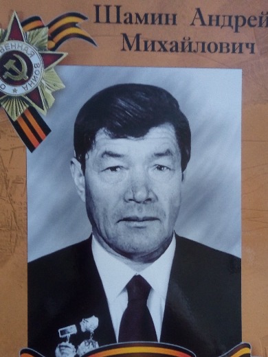 Шамин Андрей Михайлович