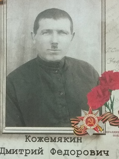 Кожемякин Дмитрий Федорович