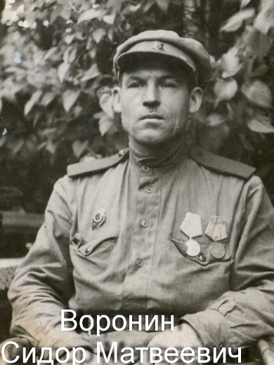 Воронин Сидор Матвеевич