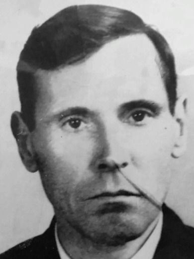 Шурмин Михаил Николаевич