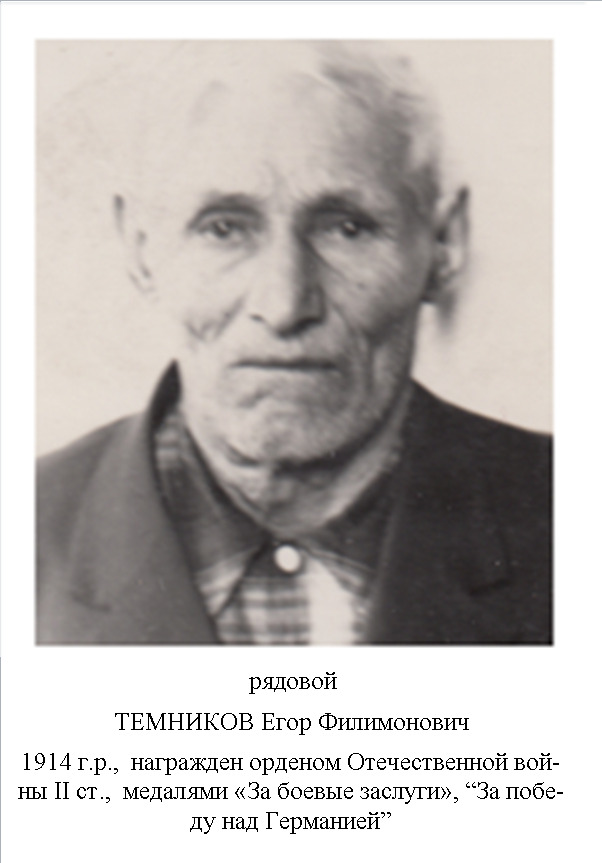 Темников Егор Филимонович