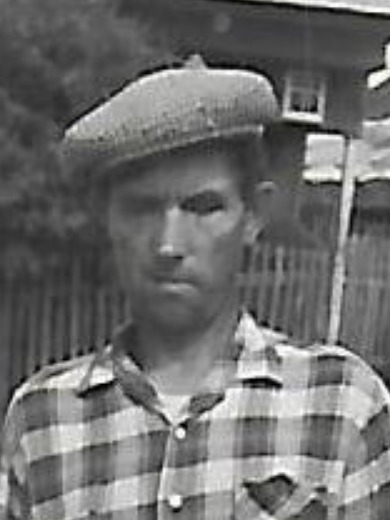 Голубушкин Дмитрий Михайлович