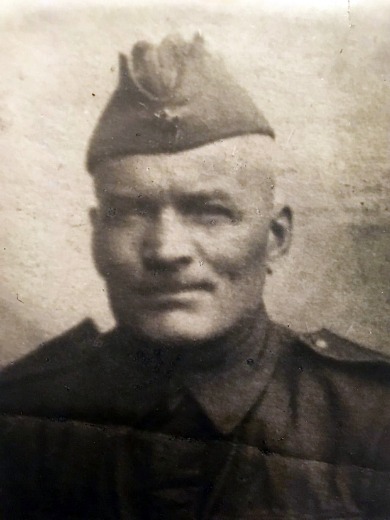 Шульгин Василий Елисеевич