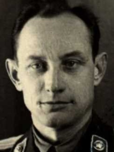 Поляков Илья Ефимович