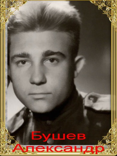 Бушев Александр Дмитриевич