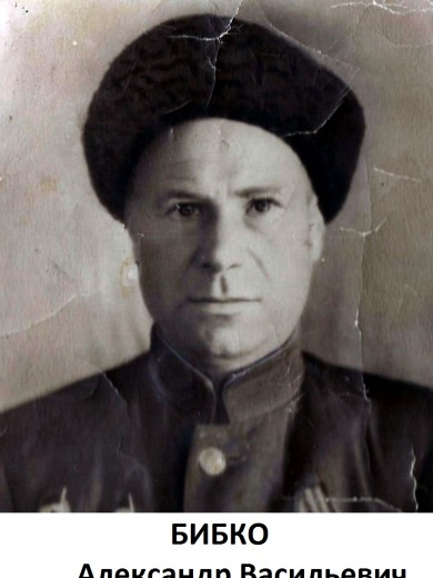 Бибко Александр Васильевич