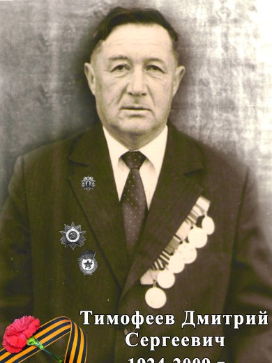 Тимофеев Дмитрий Сергеевич