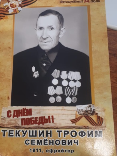 Текушин Трофим Симёнович