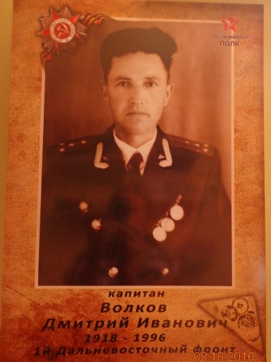 Волков Дмитрий Иванович