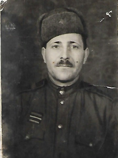 Векленко Ефим Мефодьевич