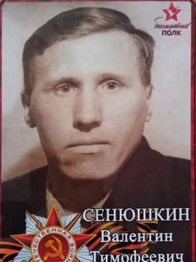 Сенюшкин Валентин Тимофеевич