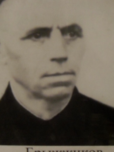 Брыжжиков Егор Васильевич