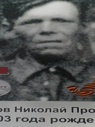 Востриков Николай Прокопьевич