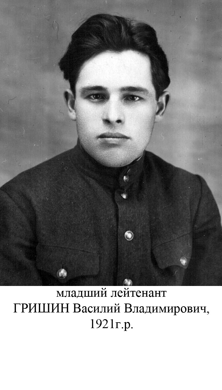Гришин Васиий Владимирович