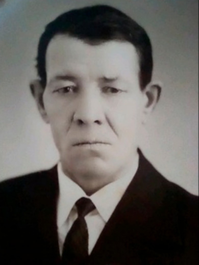 Янин Николай Васильевич